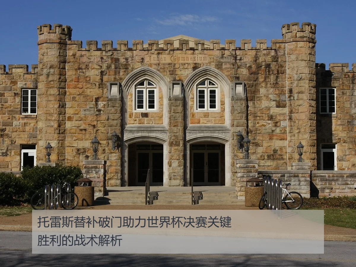托雷斯替补破门助力世界杯决赛关键胜利的战术解析